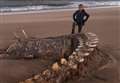Vote gives public a say on 'Nessie skeleton'