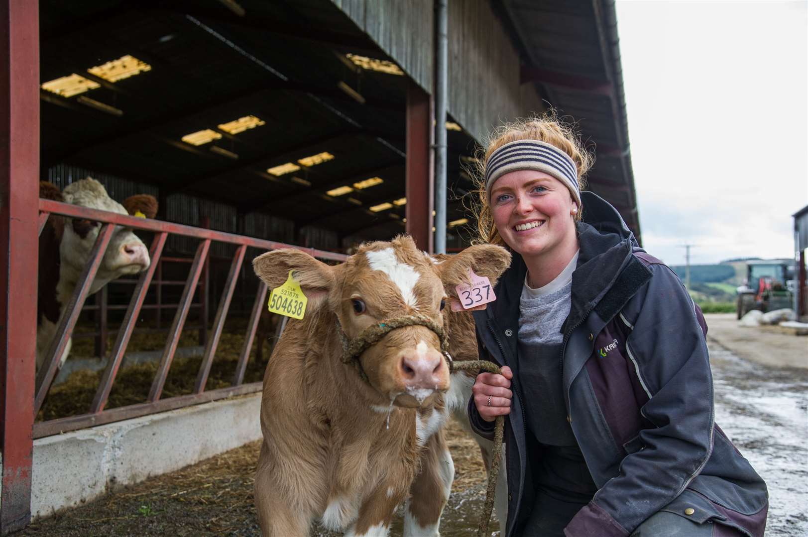 Nicola Wordie who has been nominated for Countryfile Young Countryside Champion with one of the calves from the 240 herd of cows. Picture: Becky Saunderson.