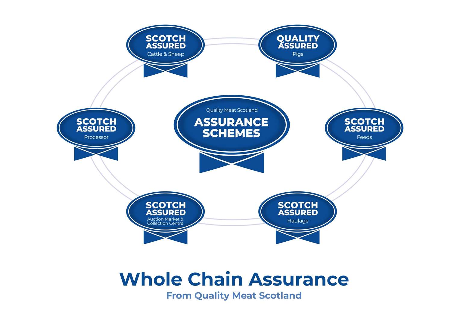 QMS whole chain assurance scheme