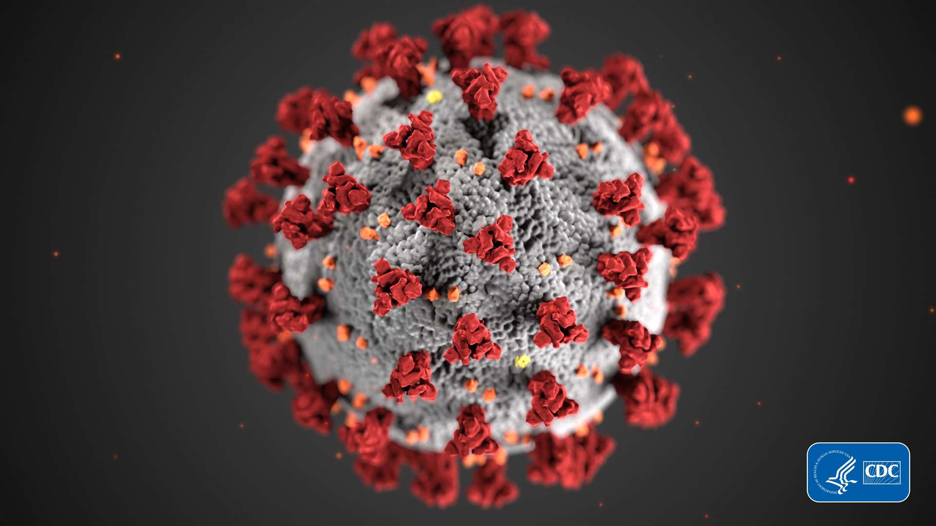 An investigation is under way after a coronavirus cluster was discovered in Aberdeen.