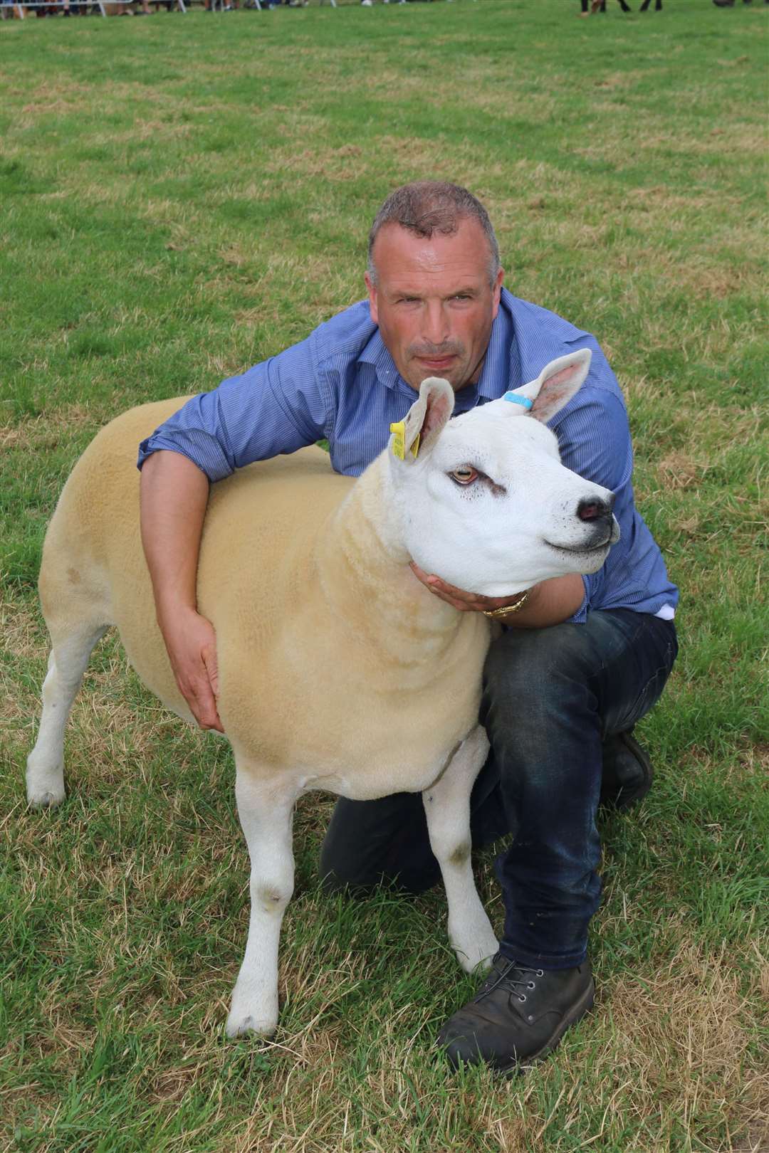 The overall sheep champion a Texel Gimmer from Gillian and Roy Adams. Picture: David Porter.
