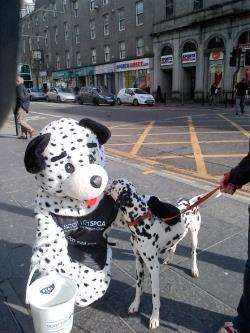 The Scottish SPCA mascot meets another spotty friend.