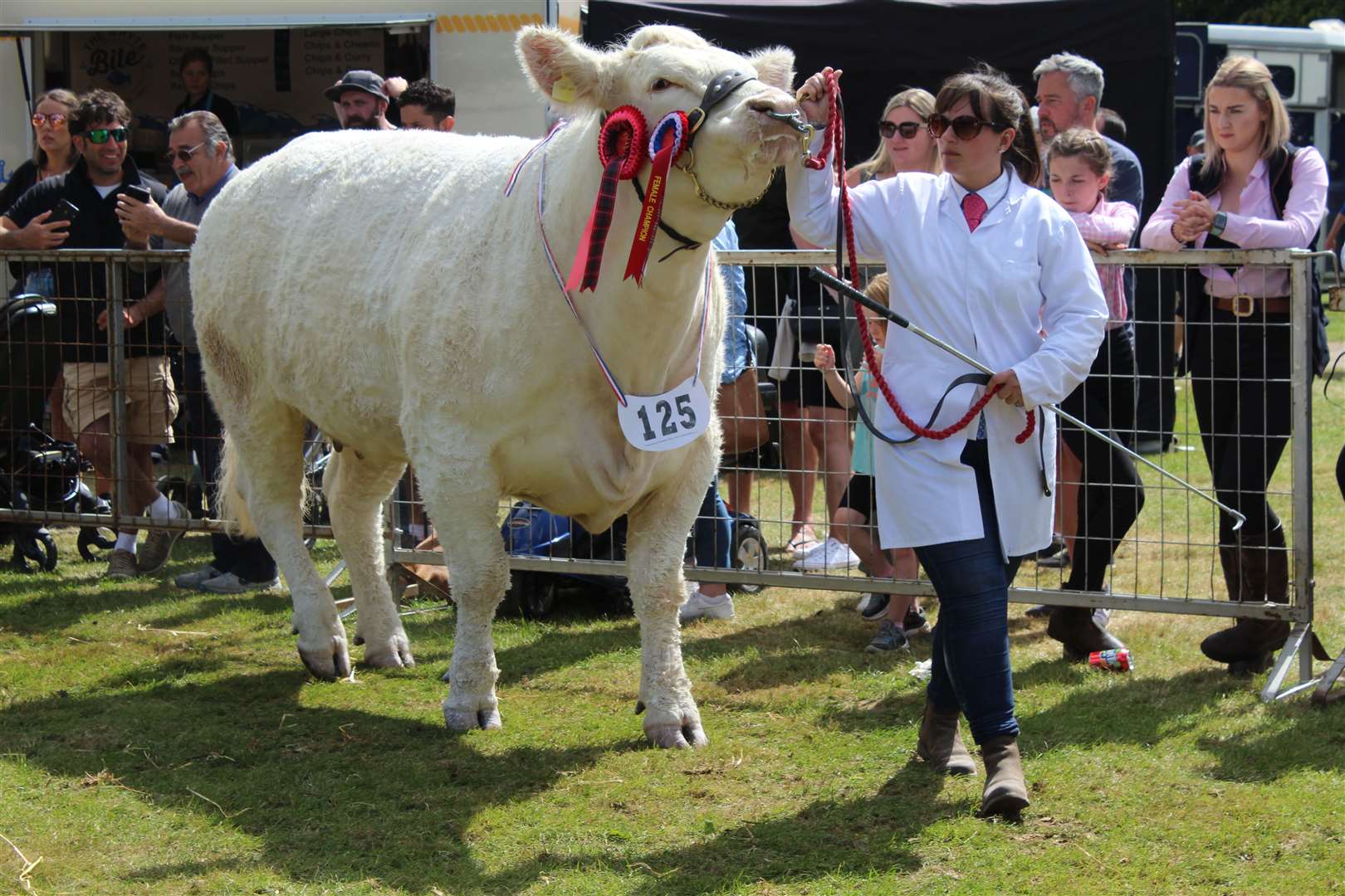 The overall reserve champion in the cattle section Harestone Mamma Mia. Picture: Kyle Ritchie