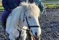 Urgent appeal for RDA helpers