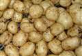 Gordon MP continues campaign for seed potato exports