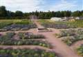 Moray walled garden in virtual festival to celebrate summer glory