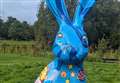 "Quite determined" bidding battle brings hare back to Turriff