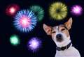 Prepare pets early for firework season, urge vet charity PDSA