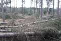Avoid forests during Storm Malik urges Forest and Land Scotland