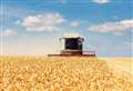 Arable crop production estimates published for 2023