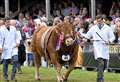 Countdown is on for Turriff Show