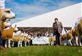 Royal Highland Show announces this year's judges