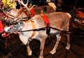 Huntly Rotary Club call off Christmas festival and the visit from the Cairngorm Reindeer pulling Santa in his sleigh due to Covid concerns.