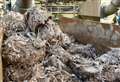 Scourge of plasticised wet wipes could come to an end