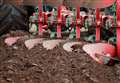 Organisers call off winter ploughing matches