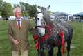 Horse champions are crowned at Turriff Show