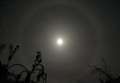 The sky at night: Lunar Halo