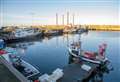 Buckie Harbour fish landings round-up