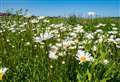 Gallery exhibition will showcase Ury Riverside Park through the seasons
