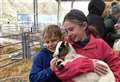 Animal magic as north-east young people with sensory loss enjoy farm visit