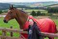 Open day planned to mark new arena at Mulben horse sanctuary
