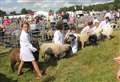 Local Shows Development Fund boosts Turriff Show WiFi