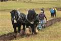 Supermatch success for ploughing champions