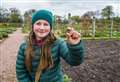 Youngster unearths battle souvenir at Gordon Castle gardens