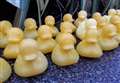 Lucky ducks avoid a dip for Christmas fundraiser