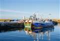 Rise in fish landings at Buckie Harbour continues