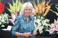 Camilla visits Eden Project to take part in Antiques Roadshow episode