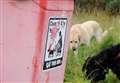 Public urged to join fight against dog fouling