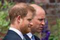 Mirrored body language shows deep bonds between William and Harry, says expert