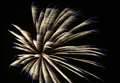 Support for fireworks and bonfire safety campaign 