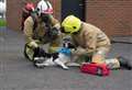Campaign to ensure fire crews have animal lifesaving equipment