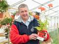 Stuart Morrison with his 1st place for Class 146 1 Plant, Single Flowered. Picture: Daniel Forsyth