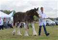 12 events to keep you entertained in Aberdeenshire this weekend