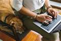 Survey finds half of remote workers favour dog policies at work 