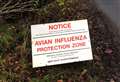 Avian flu outbreak near Mintlaw kills 1500 birds
