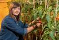 Aberdeenshire food producers launch online one stop shop