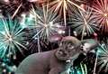 Get your pets ready early for fireworks season, urge PDSA