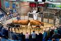 Auctioneers reflect on market conditions for farmers