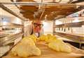 Insch baker Culinary Kiwi Bird wins twice at Scottish Bread Championships