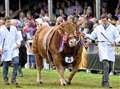 2019 Turriff Show set to be biggest and best