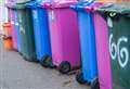 Reduced bin collections could be made permanent