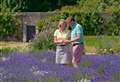 Every vote counts as Gordon Castle Walled Garden makes awards finals