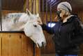 Horse power helps owners through lockdown
