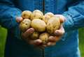 North-est seed potato farmers continue to struggle due to post-Brexit negotiations