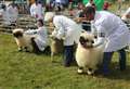 Turriff Show set for two terrific days of action
