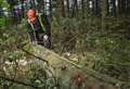 Moray developers warned over illegal tree felling